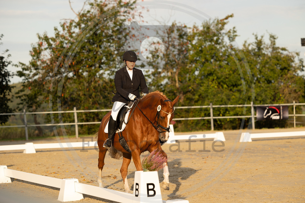 994A0134 | sabrinanicolaifotografie - Realisiert mit Pictrs.com