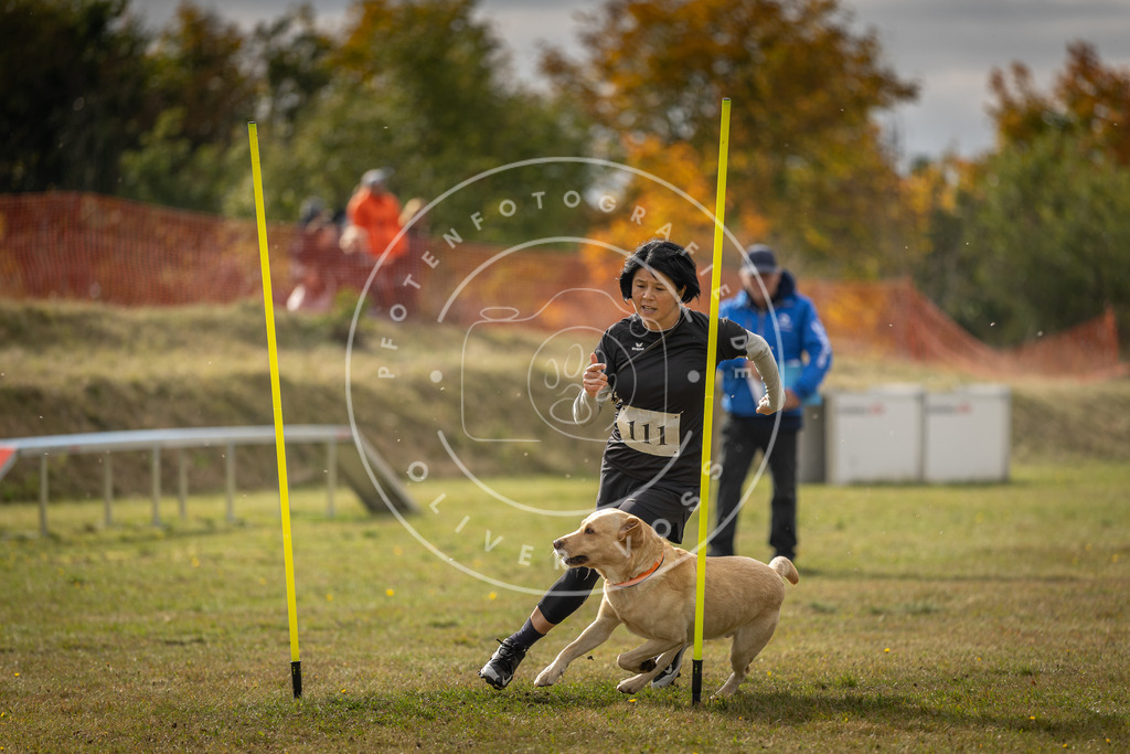 Pfotenfotografie_DV3A7138 | Hundefotografie, Tierfotograf, Pfotenfotografie, Fotoshooting Hund, Hunde Portrait, Hundesport, Hundeportraits, Heideshooting, Hunde, Sportfotograf, Hundefotograf, Turnierhundsport, THS,  - Realisiert mit Pictrs.com