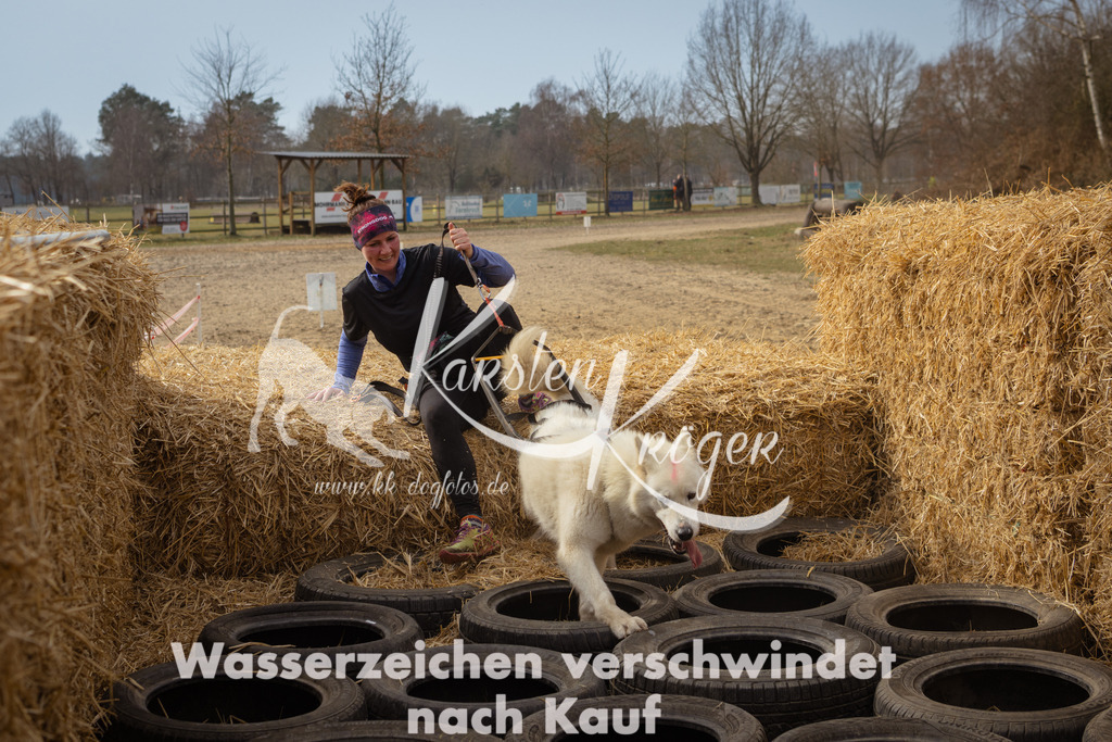 1123_ZZ93338 | kk-dogfotos