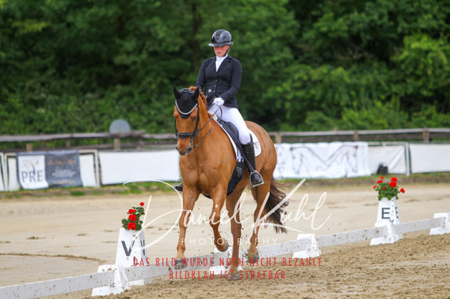 DKP47569 | Turniersportfotografie; Pferdefotografie; Dressurfotografie