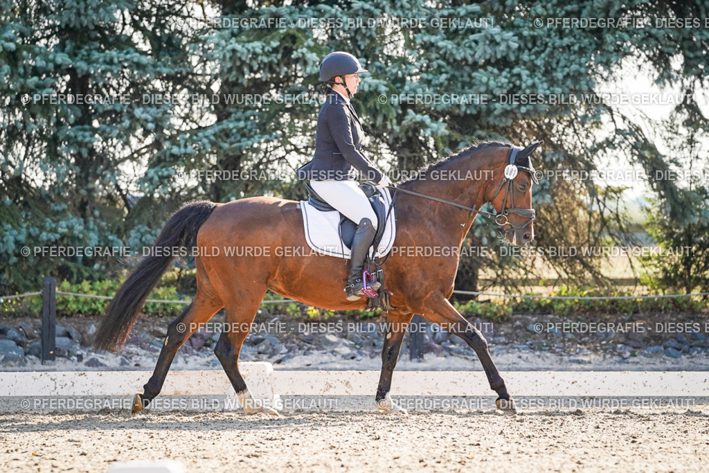 DSC09105 | Pferdegrafie