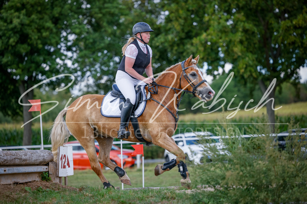 20250905-_3LI0514 | Tierfotografie Pferde, Hunde, Katzen, Haustiere.
Turnierfotografie Reitturniere, Reiten, Springreiten, Dressur in Hanau, dem Main-Kinzig-Kreis und dem Rhein-Main- Gebiet um Frankfurt