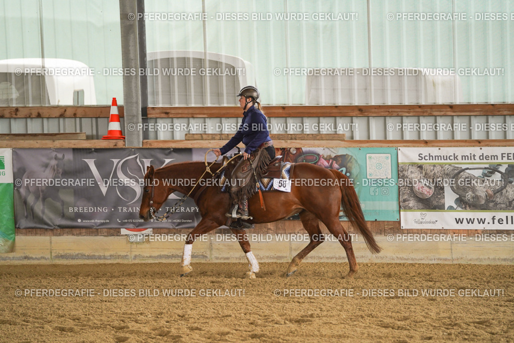 DSC08596 | Pferdegrafie