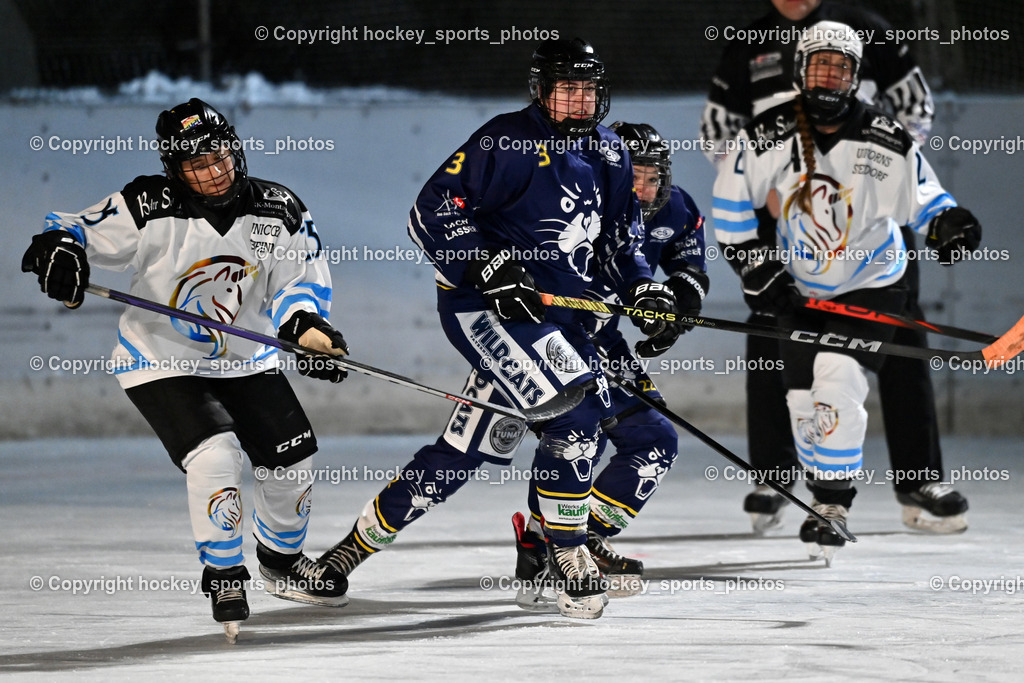 Wildcats Paternion vs. Unicorns Steindorf | #25 Pfeifer Julia UNICORNS STEINDORF, #3 Sauerbier Dana Kiara WILDCATS PATERNION, Wildcats Paternion vs. Unicorns Steindorf, Wildcats Paternion vs. Unicorns Steindorf am 02.01.2026 in Paternion (Eislaufplatz Paternion), Austria, (Photo by Bernd Stefan)
