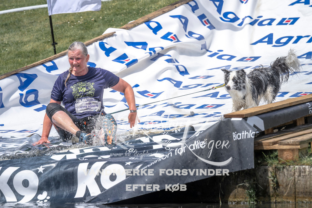 1201_ZZ94763 | kk-dogfotos