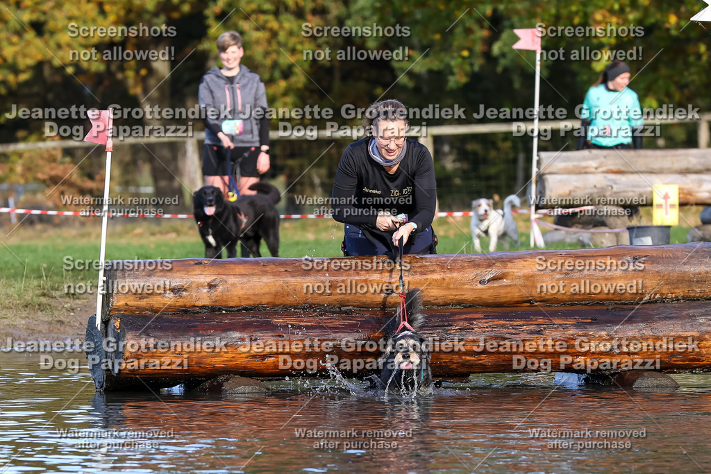 Dog Paparazzi - Strongdog 10-25-8603 | Dog Paparazzi Jeanette Grottendiek Fotografie & Videografie - Realisiert mit Pictrs.com