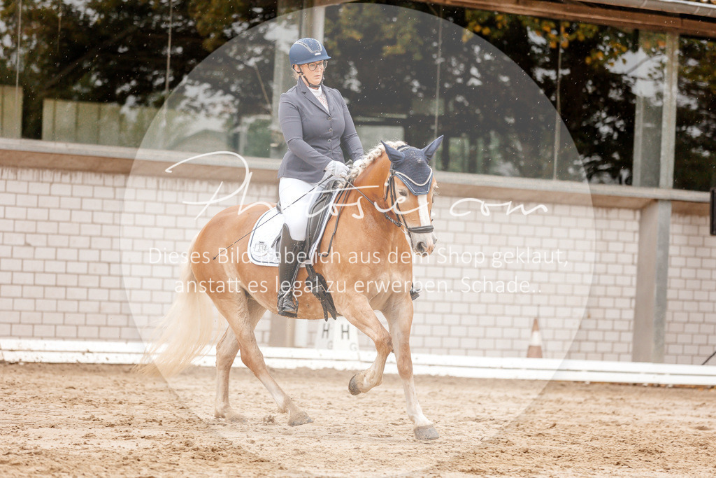 3I6A5989 | Stimmungsvolle Portraits und Reitsportfotografie im Ruhrgebiet und im Münsterland.

Pferdefotografie, Hundefotografie, Tierfotografie, Reportagen, Portraits von Tier und Mensch, Turnierfotografie in Bochum, Recklinghausen, Marl, Haltern am See, Dülmen.. - Realisiert mit Pictrs.com