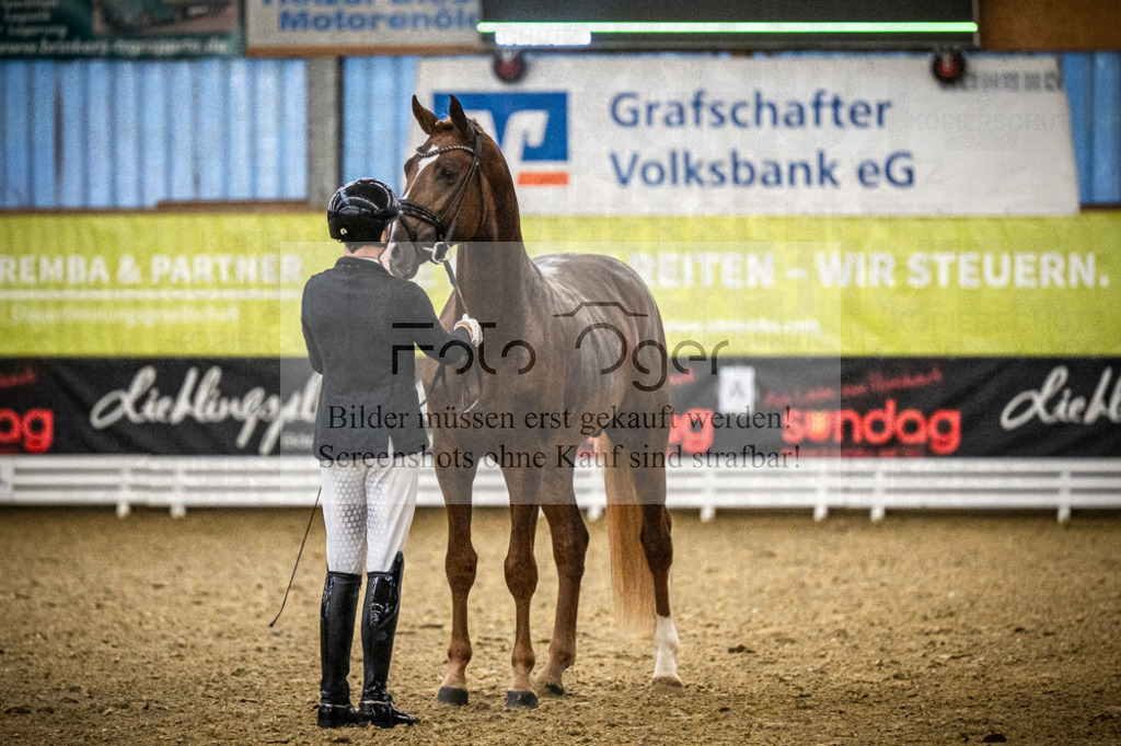 DOS_0274 | Entdecke hochwertige Reitturnierfotos von Foto Oger. Professionell, emotional und authentisch – jetzt Lieblingsmomente im Shop bestellen.Deutschlandweite Turnierfotografie. - Realized with Pictrs.com