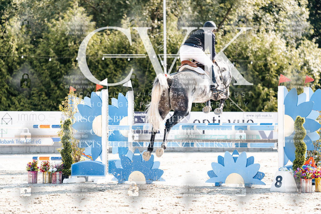 CK902113 | Turnierfotografie Pferdefotografie Trier Rheinland-Pfalz Pferdesport Reitsport Tierfotografie Sportfotografie Pferdevideo Pferdevideografie Equestrianvideography equestrianphotography  - Realisiert mit Pictrs.com
