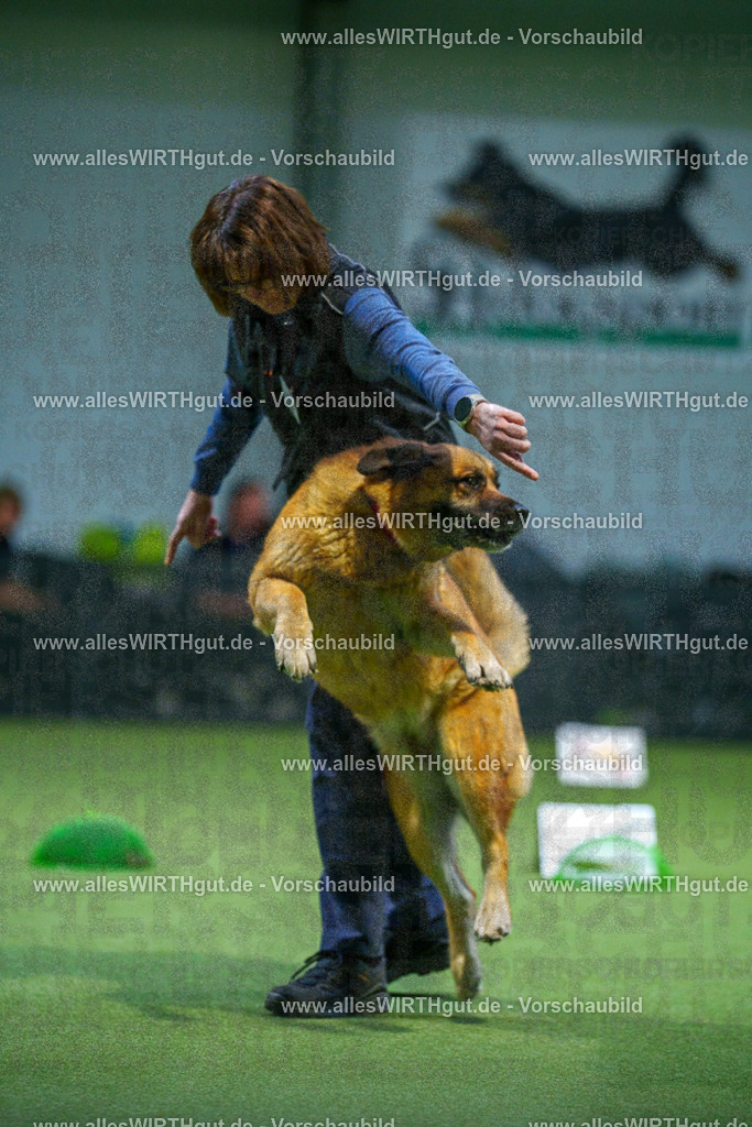 7R500658 | Professionelle Tierfotografie in Mönchengladbach von Daniel Wirth (allesWIRTHgut). Liebevolle & natürliche Bilder von Hunden & Katzen für unvergessliche Erinnerungen.