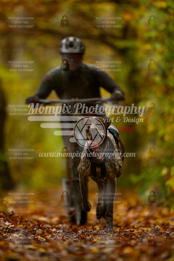 MompixPhotography_CD7S_DI_DS-8 | mompixphotography