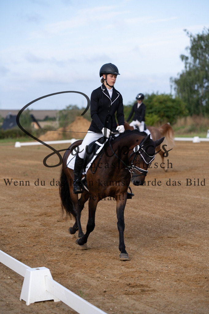 A7V03657 | Turnier/Reitfotograf
