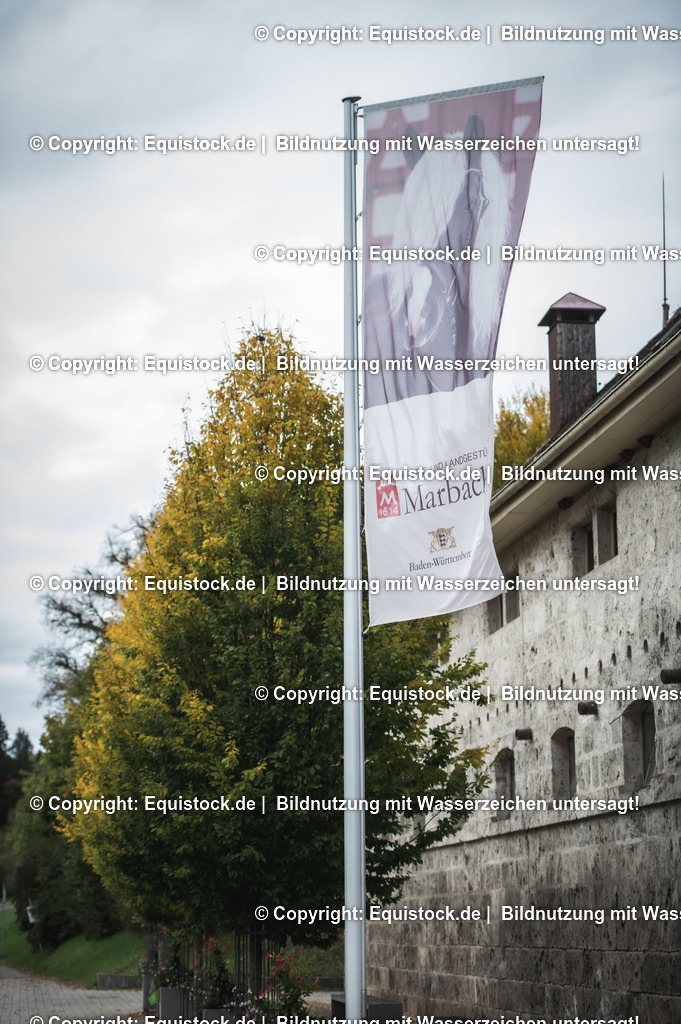 20241013_Jagd-Marbach_0551 | Foto: Thomas Hartig