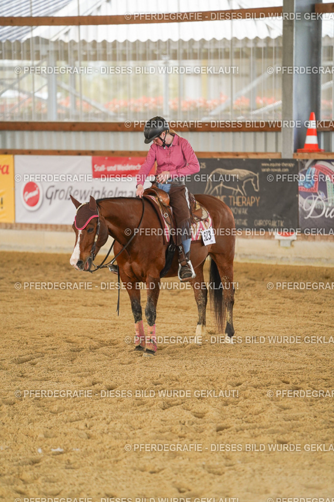 DSC08942 | Pferdegrafie