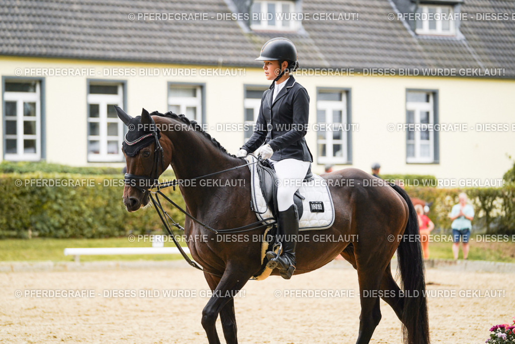 DSC09891 | Pferdegrafie