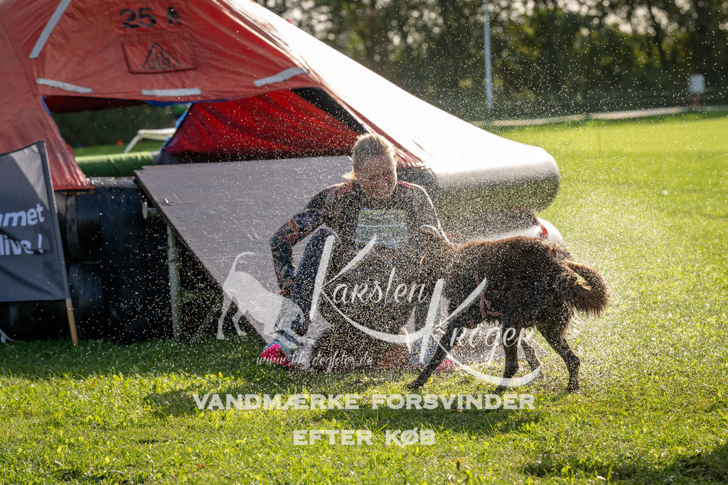 1114-91902 | kk-dogfotos