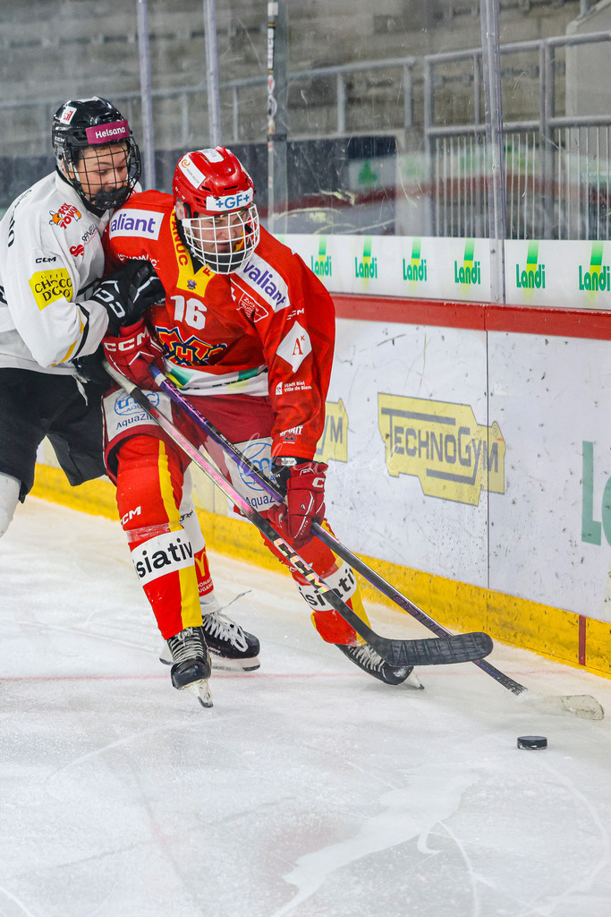 701A3147 | Sportbilder, Sportfotograf, Hochzeits- und Eventfotografin, Flugshows, Portraits und Tiershooting, Aviation, Downhill, Nationalleague, Swissleague, International