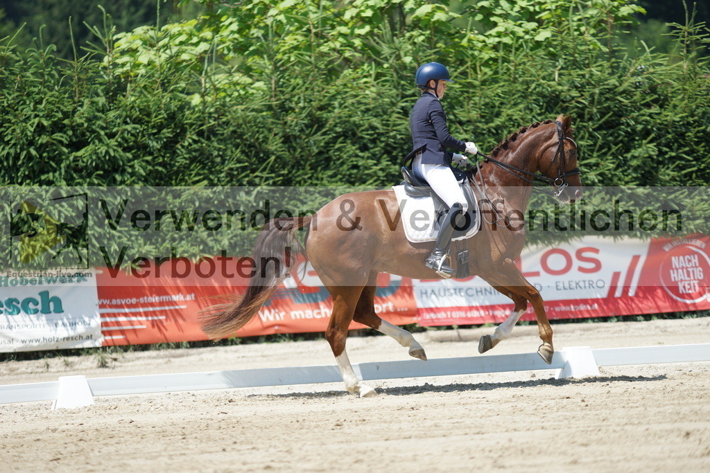 DSC03570 | equestrian-live-com