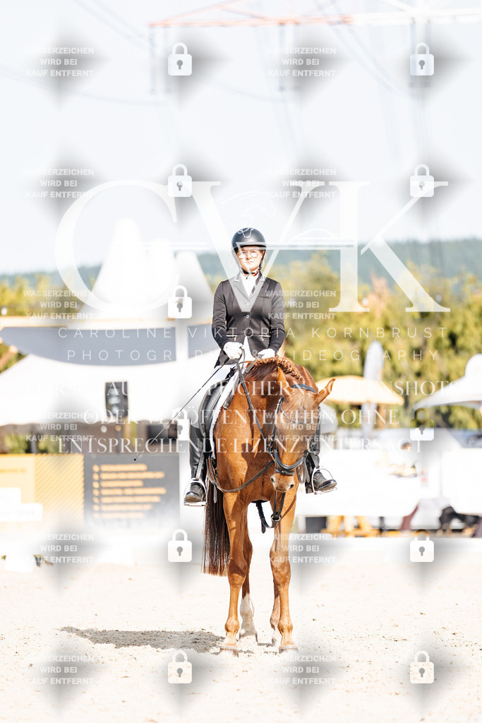 CK905445 | Turnierfotografie Pferdefotografie Trier Rheinland-Pfalz Pferdesport Reitsport Tierfotografie Sportfotografie Pferdevideo Pferdevideografie Equestrianvideography equestrianphotography  - Realisiert mit Pictrs.com