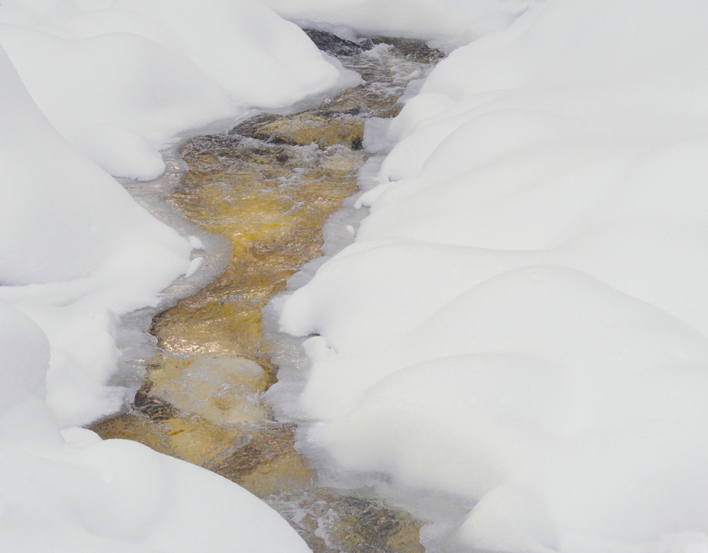 Ein goldener Bach im Winter | Die Mittagssonne reflektiert für wenige Minuten golden im Bachlauf - Realisiert mit Pictrs.com