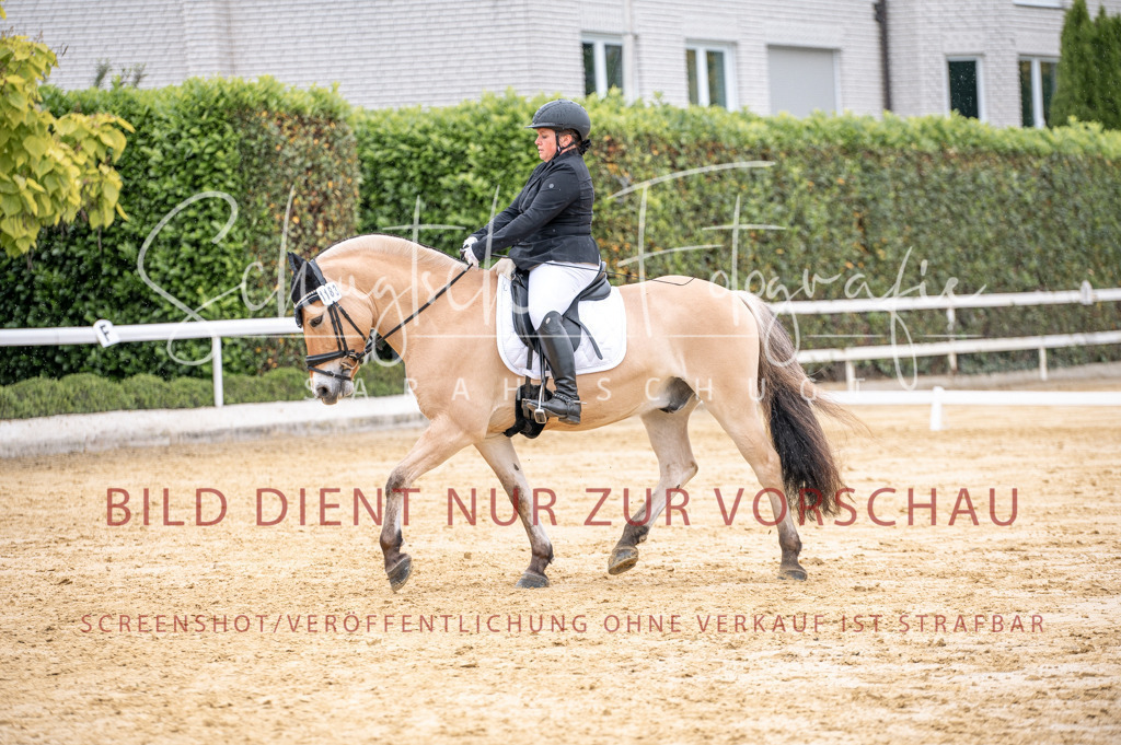 Schugtsche-Aluta25-41.Amat-Dressurprf.A_-215 | Schugtsche Fotografie - Realisiert mit Pictrs.com