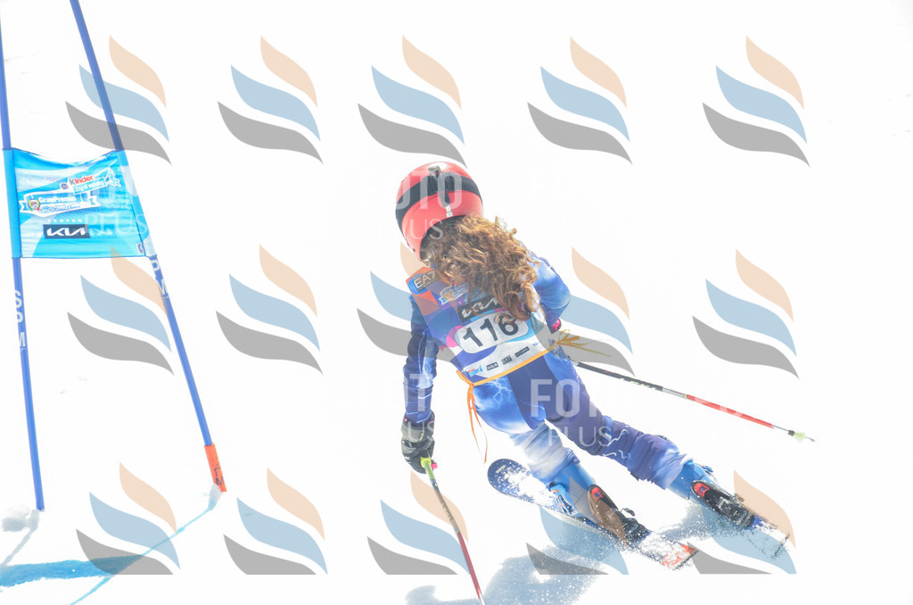 _ELE5967 | holidayphoto