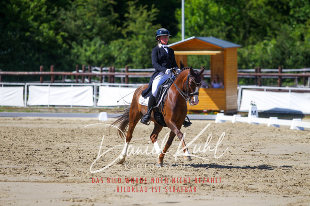 DKP42460 | Turniersportfotografie; Pferdefotografie; Dressurfotografie
