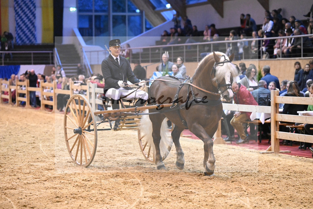 Schauprogramm_54222491 | hf-fotografie - Realisiert mit Pictrs.com