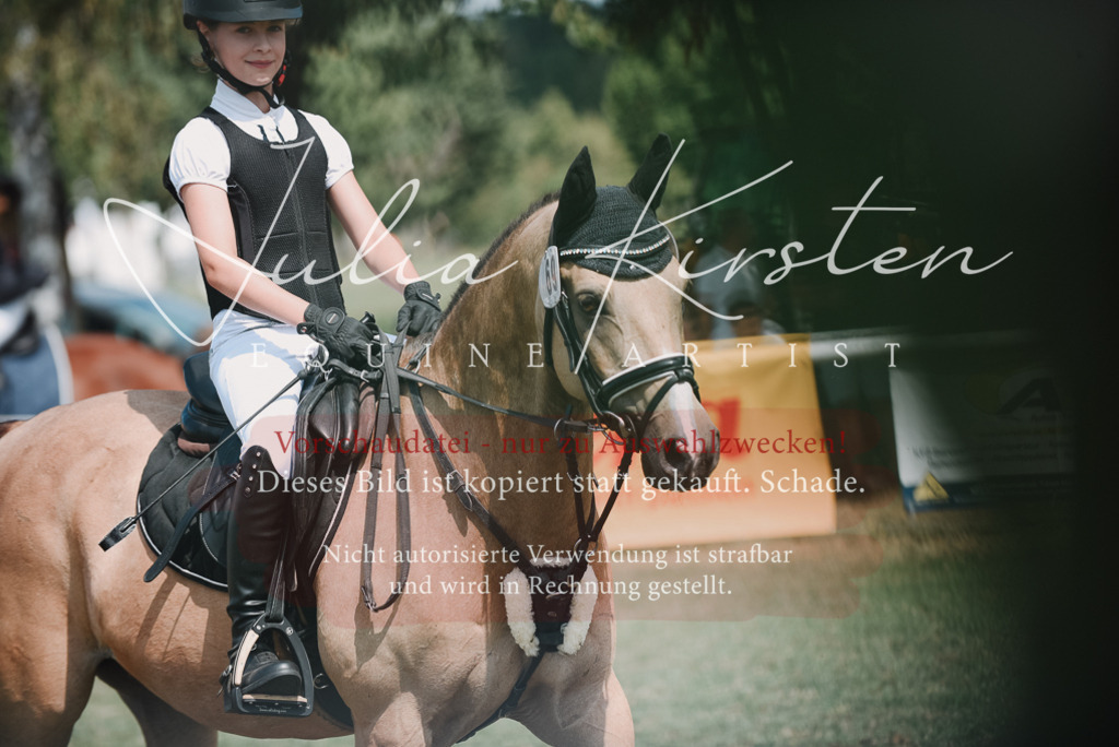 DSC_5854 | Pferde- und Turnierfotografie in Westsachsen. Pferdeportraits, Auftragszeichnungen und intuitive Kunst.