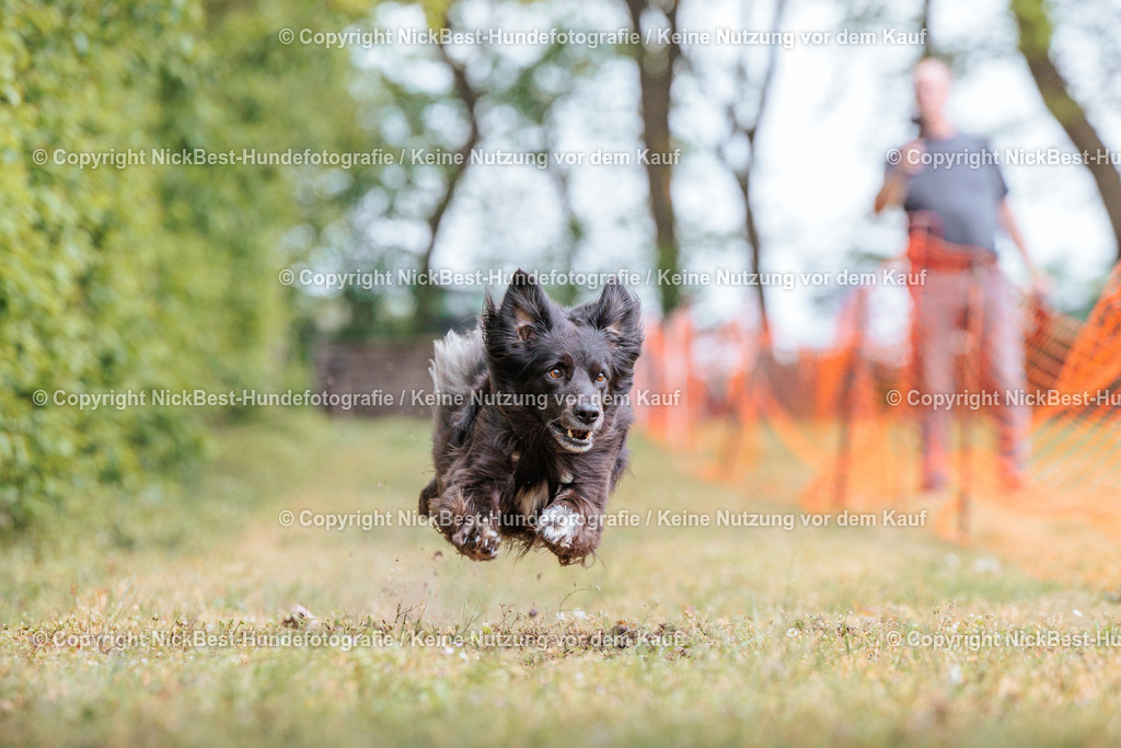 Sage Hunderennen Frühlingsfest-2026-Nickbest-Hundefotografie-0743 | Dein Hund! Dein Moment! Deine Erinnerungen! Hundefotografie in Bremen Blumenthal. Ich fange die besonderen Momente deines Vierbeiners ein – ob Indoor mit Blitzanlage oder in der freien Natur. Sicher dir dein Moment und dein Termin für eure Erinnerungen.