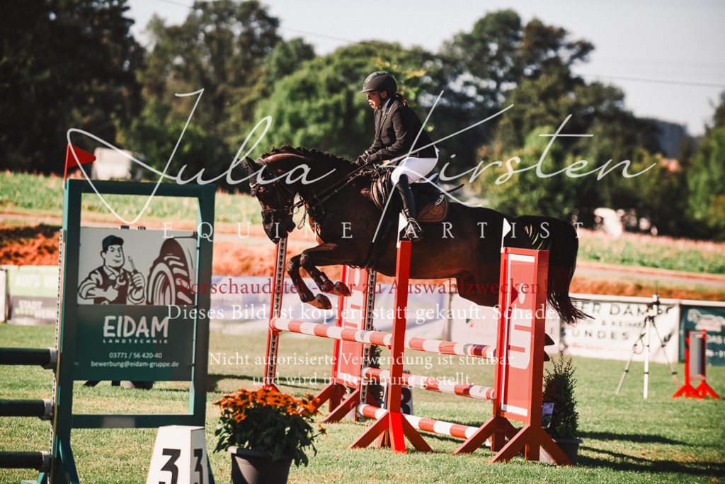 DSC_2277 | Pferde- und Turnierfotografie in Westsachsen. Pferdeportraits, Auftragszeichnungen und intuitive Kunst.