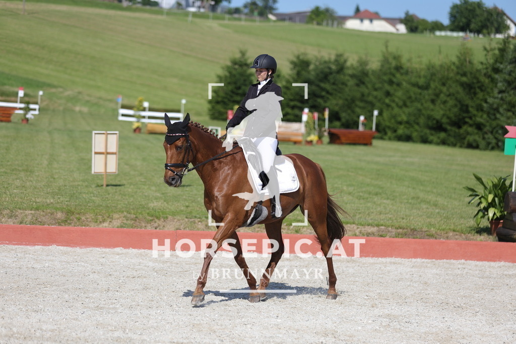 0P6A8109 | Willkommen bei Brunnmayr - Design & Fotografie – Ihrem Spezialisten für Reitturniere und Pferdeveranstaltungen in Oberösterreich, Salzburg und Bayern! Seit über 17 Jahren sind wir leidenschaftlich dabei.