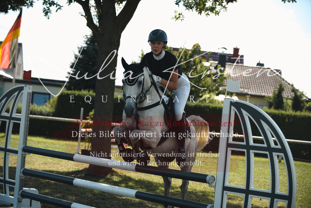DSC_6880 | Pferde- und Turnierfotografie in Westsachsen. Pferdeportraits, Auftragszeichnungen und intuitive Kunst.