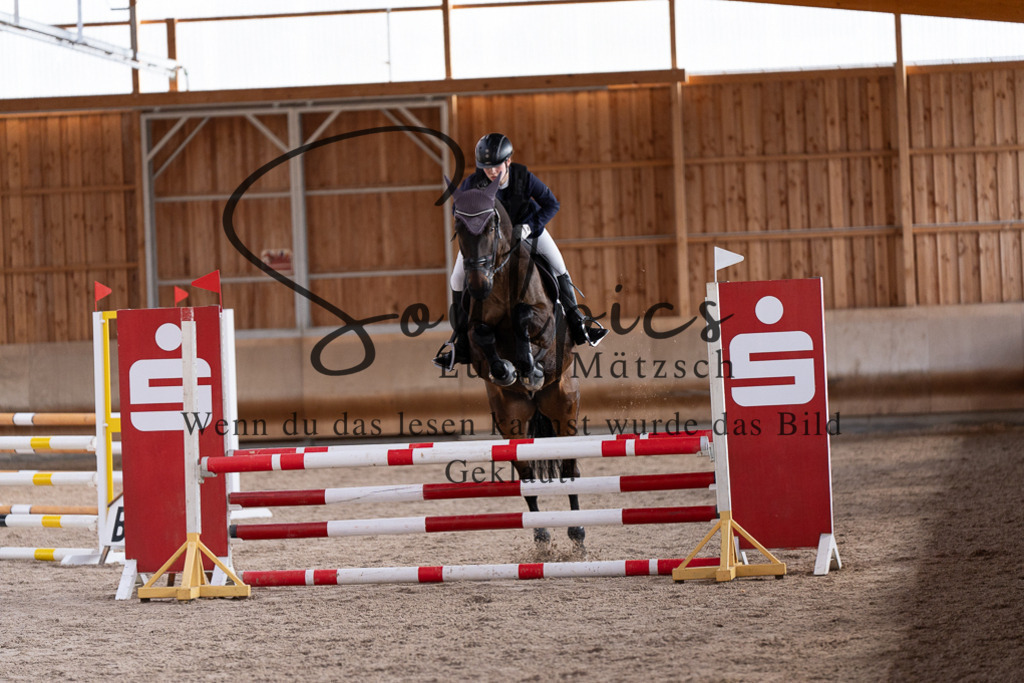 A7507741 | Pferdefotograf