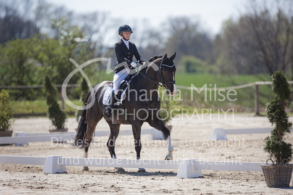 220418_L-Dressur-247 | Frühlingsfest der Pferde
Herford
18.April 2022
Dressurprfg. Kl.L* - Tr. L2ausw. geschlossen