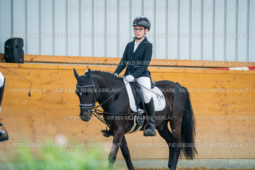 DSC01274 | Pferdegrafie