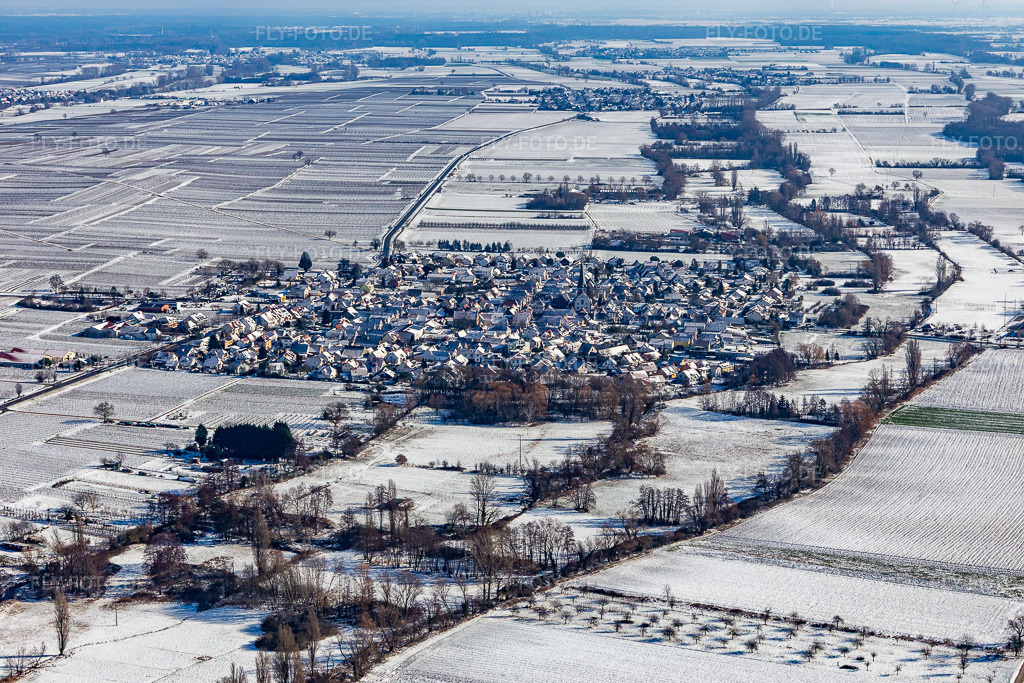 Luftbild: Winterluftbild im Schnee in Venningen im Bundesland Rheinland-Pfalz in Deutschland. Foto: IMG_124664.jpg vom 11.02.2021 durch Werner Riehm/FLY-FOTO.de