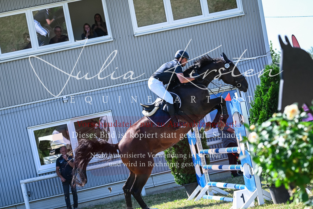 DSC_1702 | Pferde- und Turnierfotografie in Westsachsen. Pferdeportraits, Auftragszeichnungen und intuitive Kunst.
