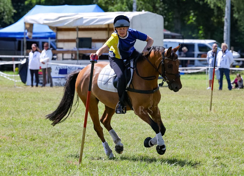 IMG_1621 | Reitsport Reiten