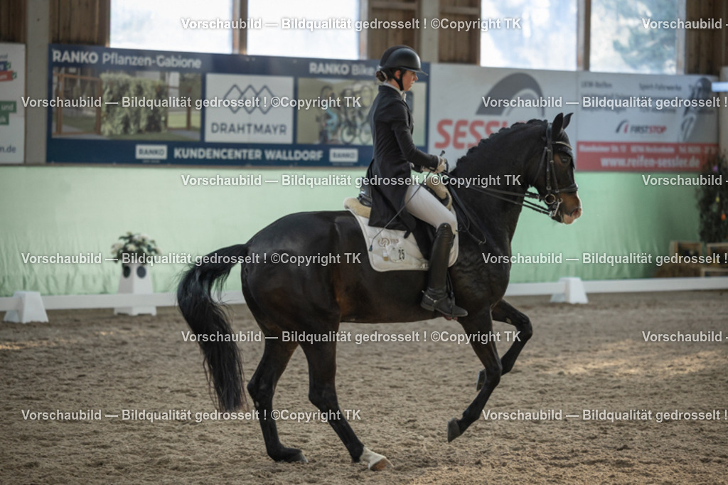 _D5A0648 | Emotionale Pferde- & People-Fotografie rund um Heidelberg, Leimen & Umgebung. Natürliche Fotos von Pferd, Mensch & Familie. Jetzt Termin sichern!