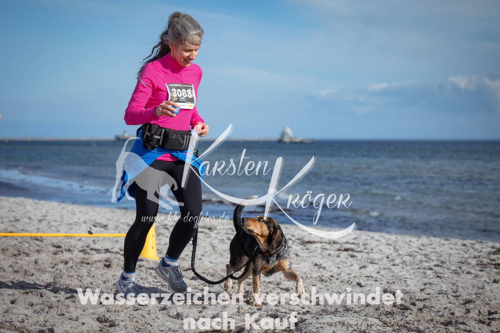 1348_ZZ93623 | kk-dogfotos