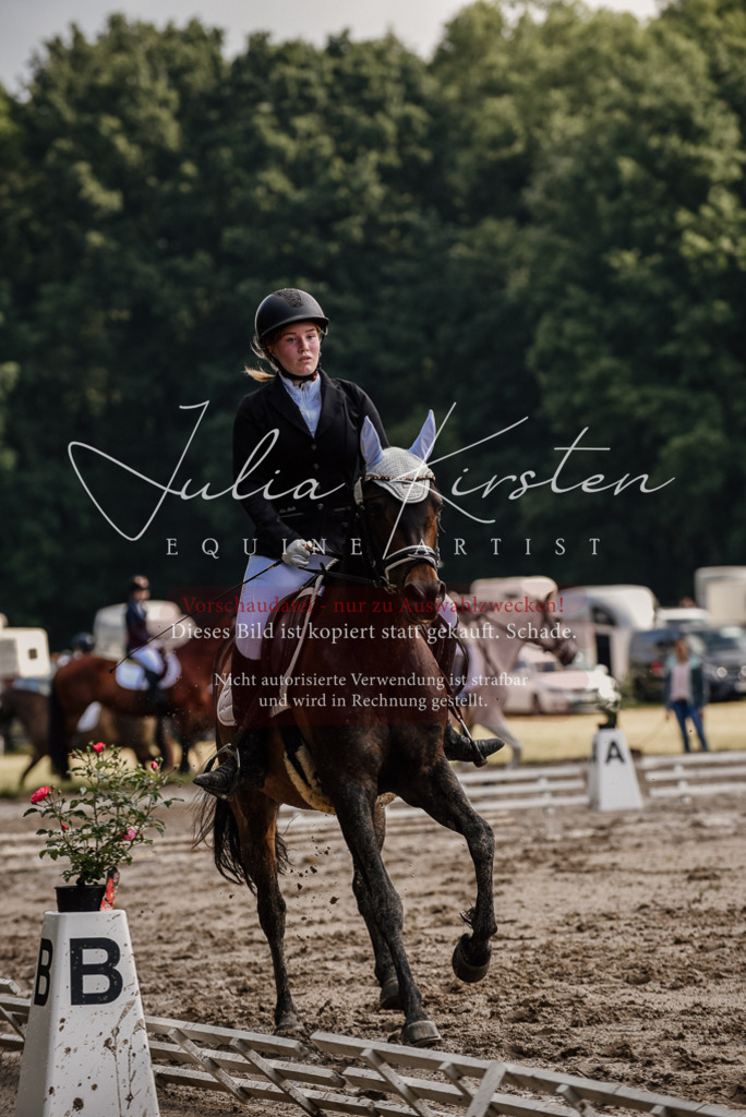 DSC_8237 | Pferde- und Turnierfotografie in Westsachsen. Pferdeportraits, Auftragszeichnungen und intuitive Kunst.