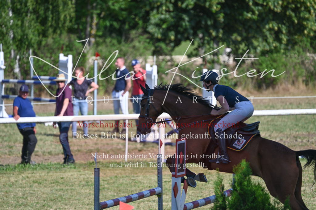 DSC_2202 | Pferde- und Turnierfotografie in Westsachsen. Pferdeportraits, Auftragszeichnungen und intuitive Kunst.