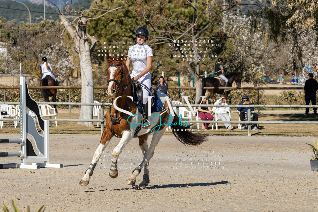 IMG_8380 | s-jay-photography - Realisiert mit Pictrs.com