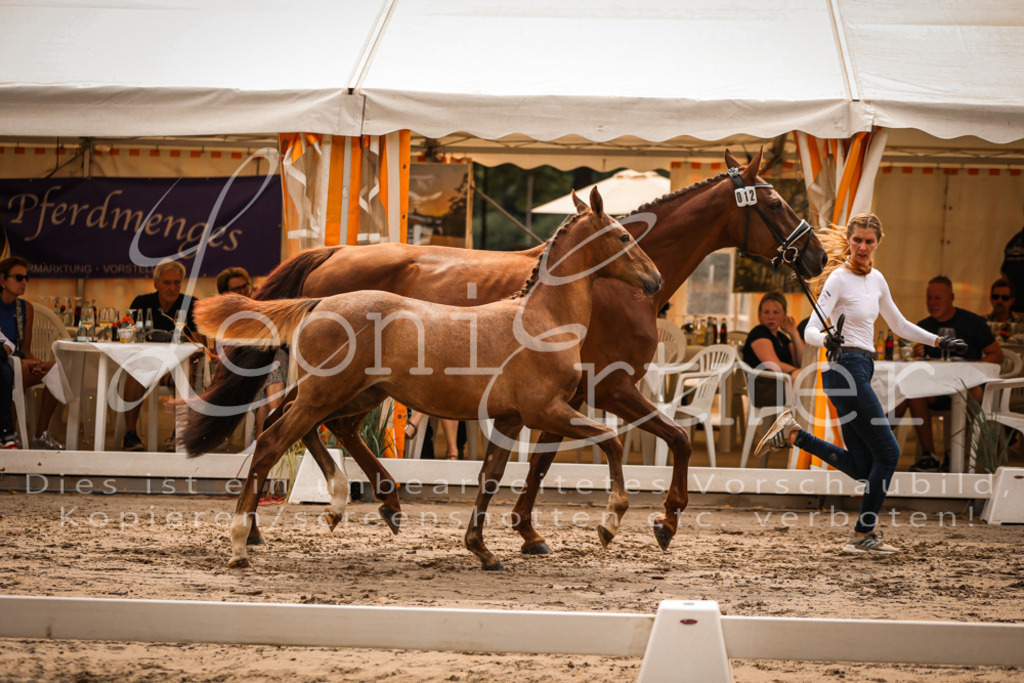 SaPA00175 | Leoni Ertmer Photography - Realisiert mit Pictrs.com