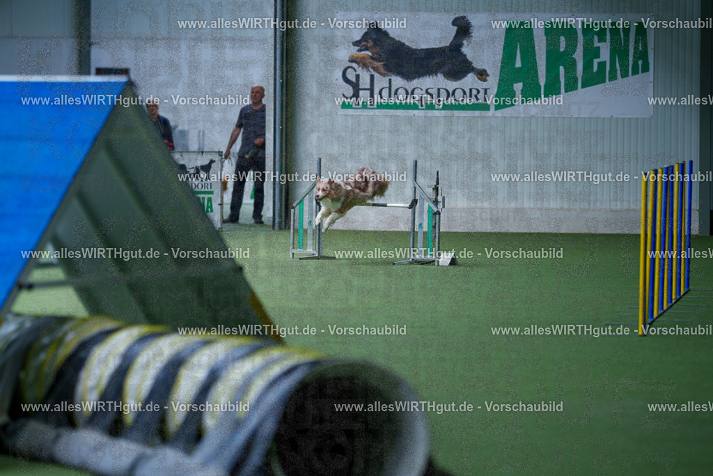 @allesWIRTHgut_Tierfotografie - www.allesWIRTHgut.de - 2604251217-7R501260 | Professionelle Tierfotografie in Mönchengladbach von Daniel Wirth (allesWIRTHgut). Liebevolle & natürliche Bilder von Hunden & Katzen für unvergessliche Erinnerungen.