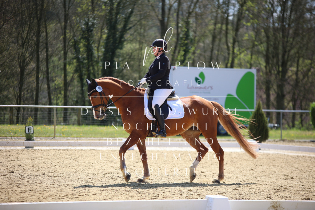 IMGT2270 | pl-fotografie