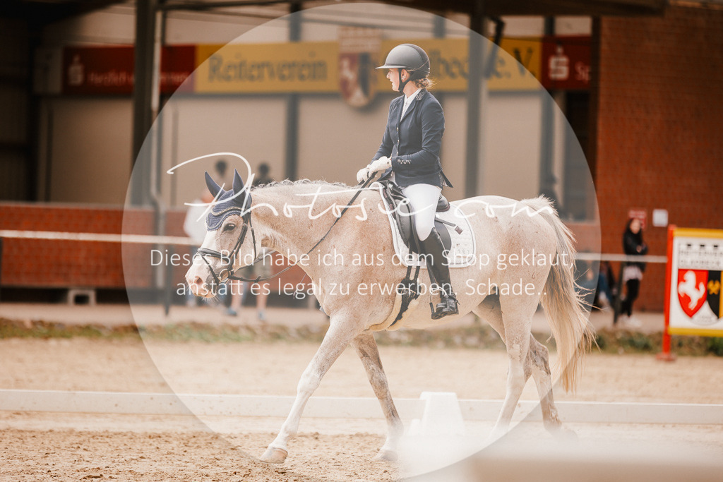 3I6A6189 | Stimmungsvolle Portraits und Reitsportfotografie im Ruhrgebiet und im Münsterland.

Pferdefotografie, Hundefotografie, Tierfotografie, Reportagen, Portraits von Tier und Mensch, Turnierfotografie in Bochum, Recklinghausen, Marl, Haltern am See, Dülmen.. - Realisiert mit Pictrs.com