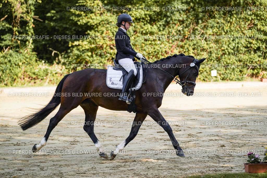 DSC07945 | Pferdegrafie