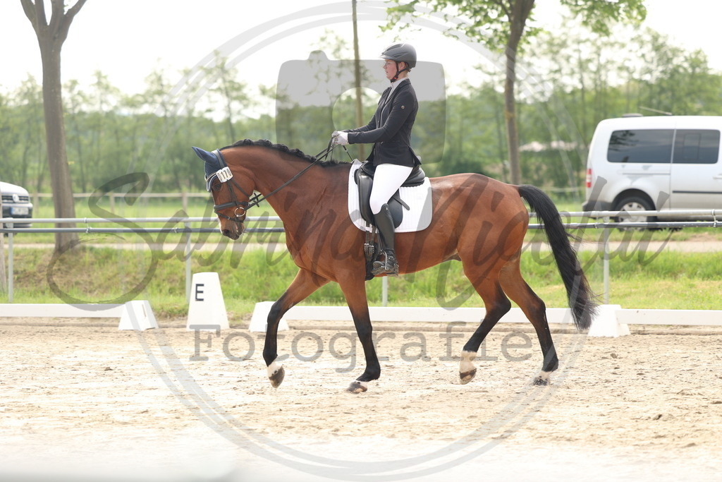 994A6283 | sabrinanicolaifotografie - Realisiert mit Pictrs.com